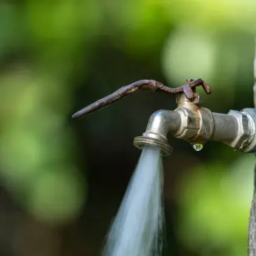 A brass water faucet with a rusty handle is running water, with a single drop of water clinging to the spout.