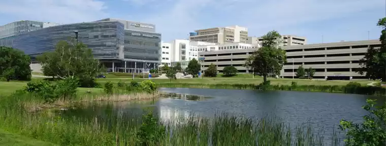 Modern hospital buildings and a parking garage overlook a tranquil pond with reeds and green grass.