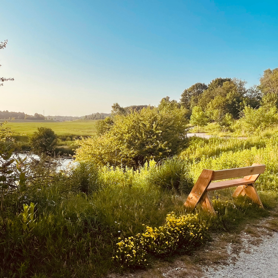 A wooden park bench sits beside a path, overlooking a serene landscape with a river, lush green fields, and trees under a